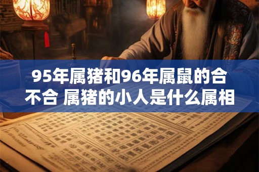 95年属猪和96年属鼠的合不合 属猪的小人是什么属相