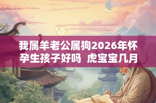 我属羊老公属狗2026年怀孕生孩子好吗  虎宝宝几月出生好