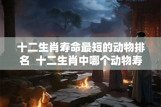 十二生肖寿命最短的动物排名 十二生肖中哪个动物寿命最长 十二生肖寿命最短的动物排名 十二生肖中哪个动物寿命最长