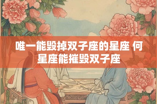 唯一能毁掉双子座的星座 何星座能摧毁双子座 唯一能毁掉双子座的星座 何星座能摧毁双子座