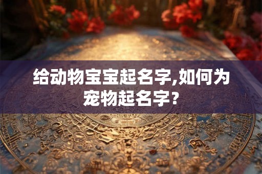 给动物宝宝起名字,如何为宠物起名字? 给动物宝宝起名字,如何为宠物起名字?