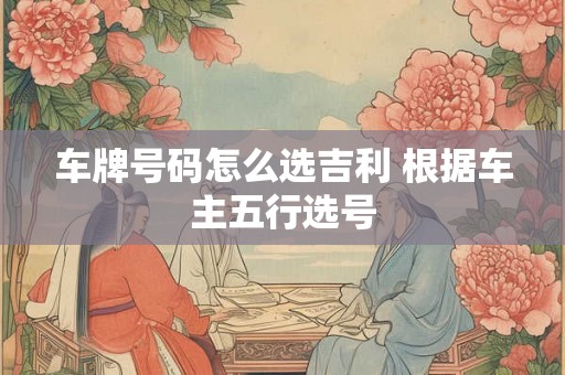 车牌号码怎么选吉利 根据车主五行选号