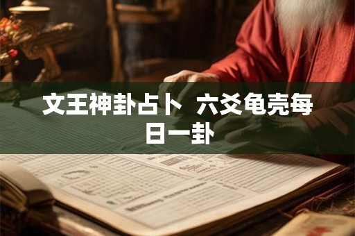 文王神卦占卜  六爻龟壳每日一卦