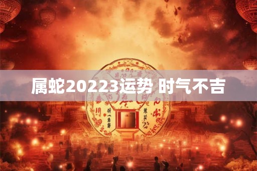 属蛇20223运势 时气不吉