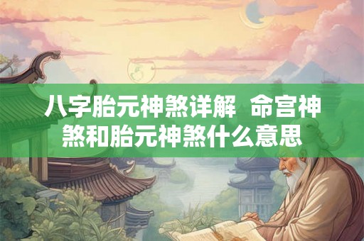 八字胎元神煞详解  命宫神煞和胎元神煞什么意思