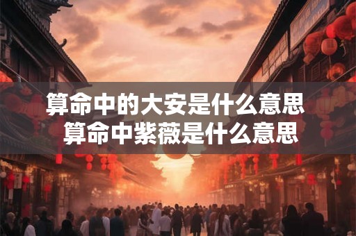 算命中的大安是什么意思  算命中紫薇是什么意思