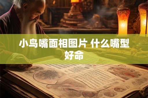 小鸟嘴面相图片 什么嘴型好命