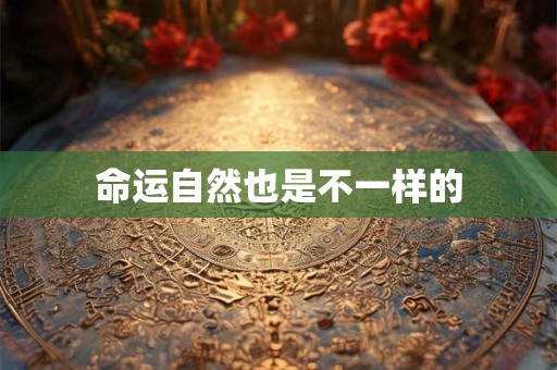 命运自然也是不一样的