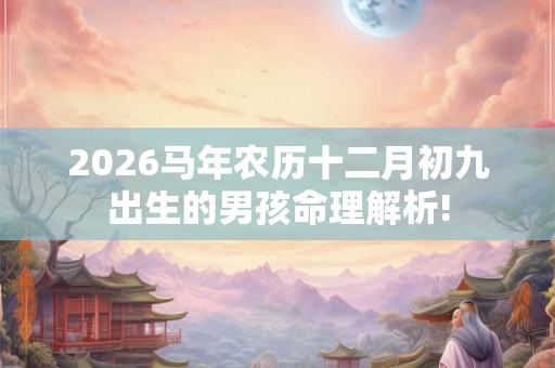 2026马年农历十二月初九出生的男孩命理解析!