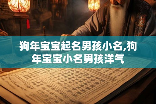 狗年宝宝起名男孩小名,狗年宝宝小名男孩洋气