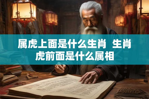 属虎上面是什么生肖  生肖虎前面是什么属相