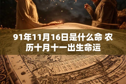 91年11月16日是什么命 农历十月十一出生命运