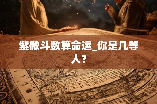 紫微斗数算命运_你是几等人？