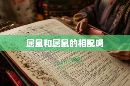 属鼠和属鼠的相配吗