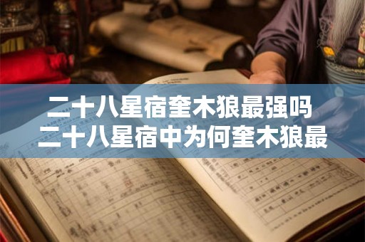 二十八星宿奎木狼最强吗 二十八星宿中为何奎木狼最强