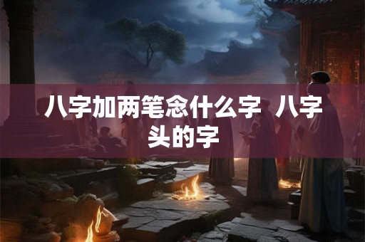 八字加两笔念什么字  八字头的字