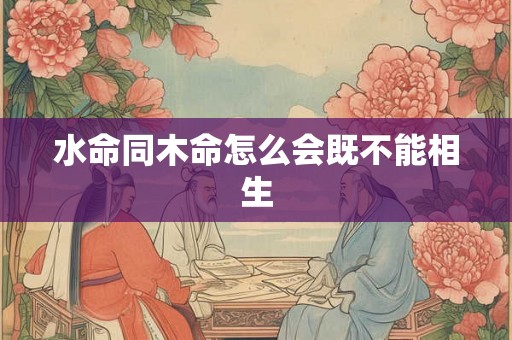 水命同木命怎么会既不能相生