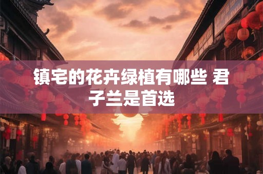 镇宅的花卉绿植有哪些 君子兰是首选