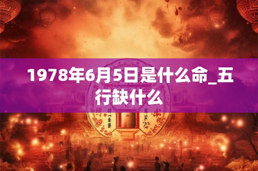 1978年6月5日是什么命_五行缺什么