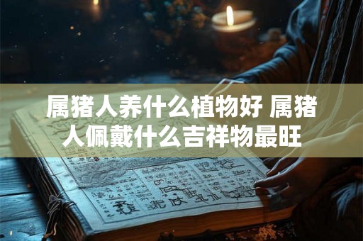 属猪人养什么植物好 属猪人佩戴什么吉祥物最旺 属猪人养什么植物好 属猪人佩戴什么吉祥物最旺