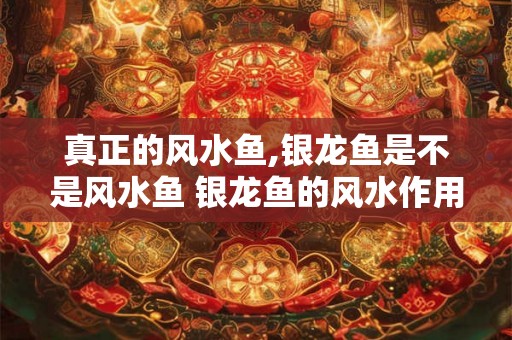 真正的风水鱼,银龙鱼是不是风水鱼 银龙鱼的风水作用