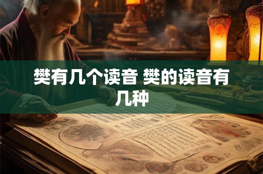 樊有几个读音 樊的读音有几种 樊有几个读音 樊的读音有几种