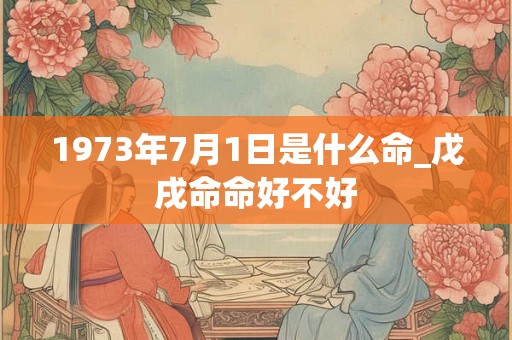 1973年7月1日是什么命_戊戌命命好不好