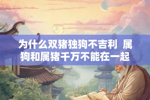 为什么双猪独狗不吉利  属狗和属猪千万不能在一起