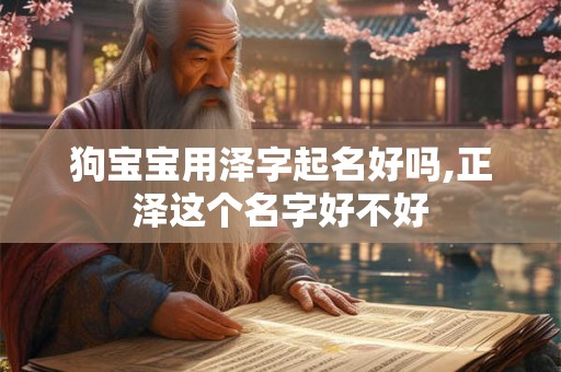 狗宝宝用泽字起名好吗,正泽这个名字好不好