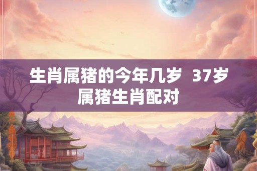 生肖属猪的今年几岁  37岁属猪生肖配对