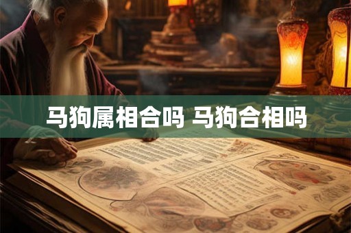 马狗属相合吗 马狗合相吗