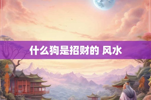 什么狗是招财的 风水