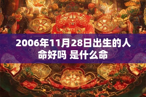 2006年11月28日出生的人命好吗 是什么命