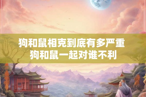 狗和鼠相克到底有多严重 狗和鼠一起对谁不利