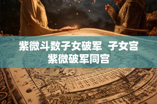 紫微斗数子女破军  子女宫紫微破军同宫