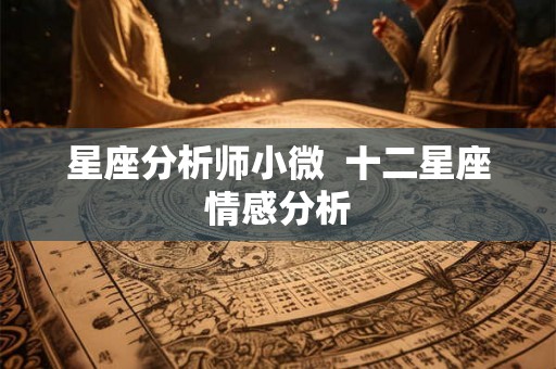 星座分析师小微 十二星座情感分析 星座分析师小微 十二星座情感分析