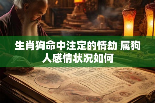 生肖狗命中注定的情劫 属狗人感情状况如何