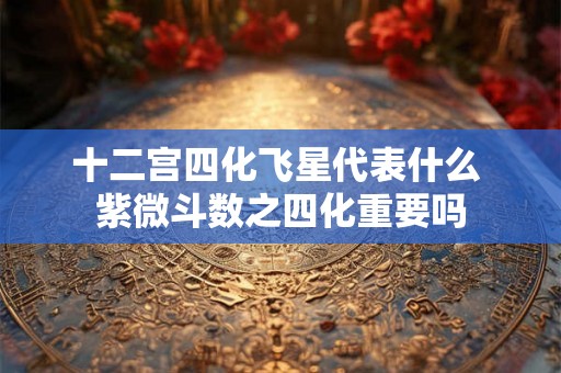 十二宫四化飞星代表什么 紫微斗数之四化重要吗
