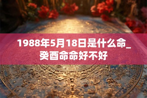 1988年5月18日是什么命_癸酉命命好不好
