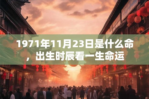 1971年11月23日是什么命，出生时辰看一生命运