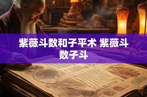 紫薇斗数和子平术 紫薇斗数子斗 紫薇斗数和子平术 紫薇斗数子斗