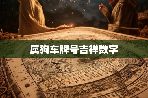 属狗车牌号吉祥数字
