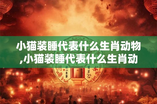 小猫装睡代表什么生肖动物,小猫装睡代表什么生肖动物图片