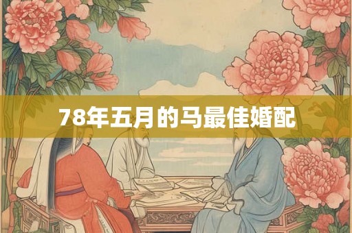 78年五月的马最佳婚配