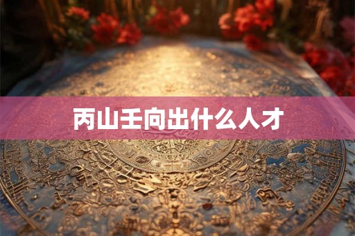 丙山壬向出什么人才