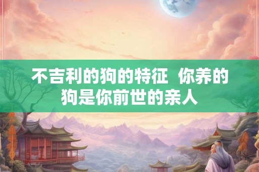 不吉利的狗的特征  你养的狗是你前世的亲人