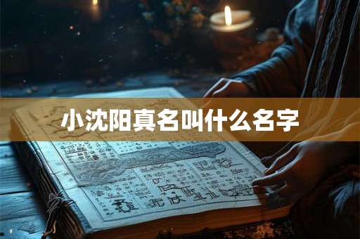 小沈阳真名叫什么名字