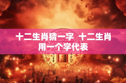 十二生肖猜一字 十二生肖用一个字代表 十二生肖猜一字 十二生肖用一个字代表