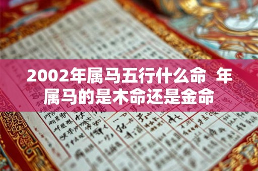2002年属马五行什么命  年属马的是木命还是金命