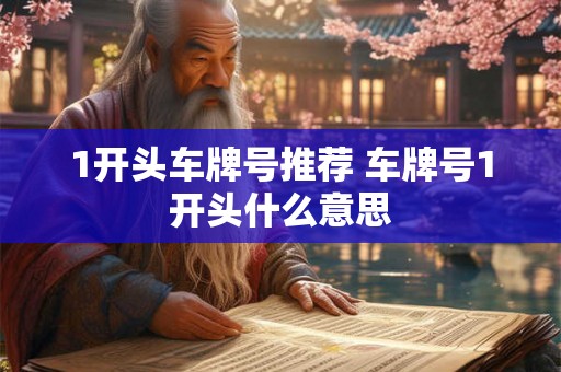 1开头车牌号推荐 车牌号1开头什么意思